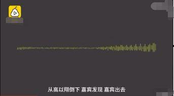 追我吧爆料视频大全下载,精彩瞬间回顾与幕后花絮大揭秘  第3张